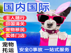 西昌青山空运代理国际宠物托运 【国
